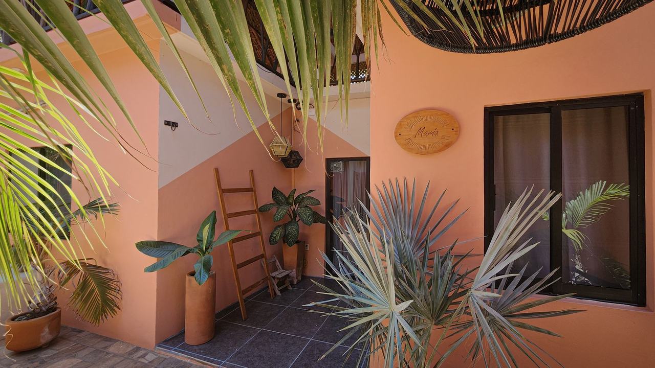 The courtyard with palms